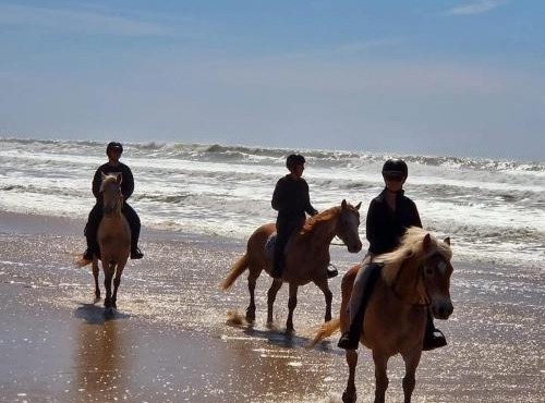 Au Coeur du Ranch: Chambres d'Hôtes dans le Médoc
