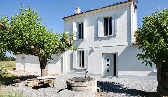 Au Coeur du Vignoble