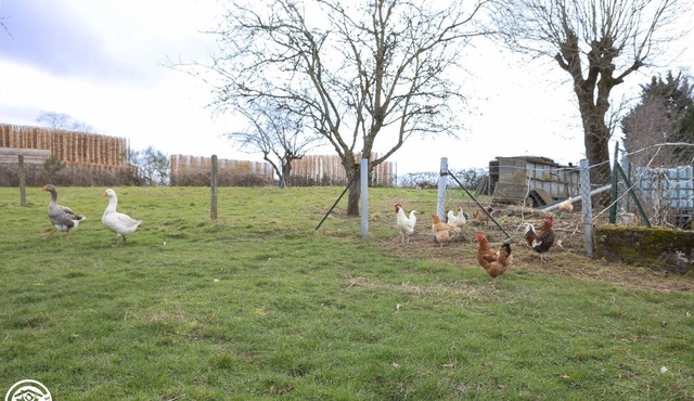 Au Coin des Bois - Neuf Eglise