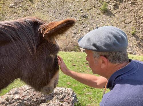 Au Graé - Maison à louer à Laruns Béarn