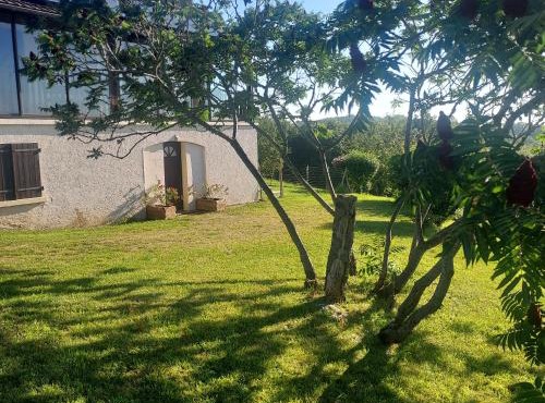 Au petit bois magique