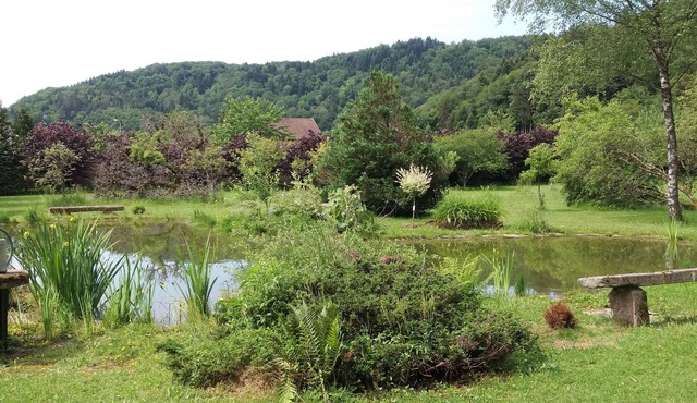 Au Pied des milles Étangs- LES CAPUCINS