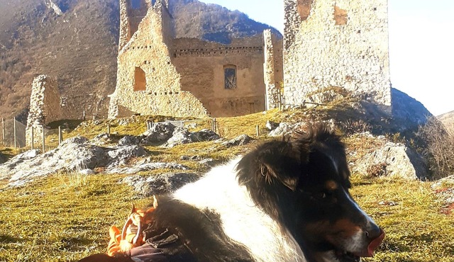 AU Pied DU Chateau Miglos