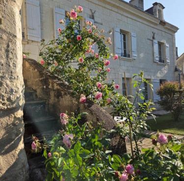 Au pied du Lavoir Chambre Odile