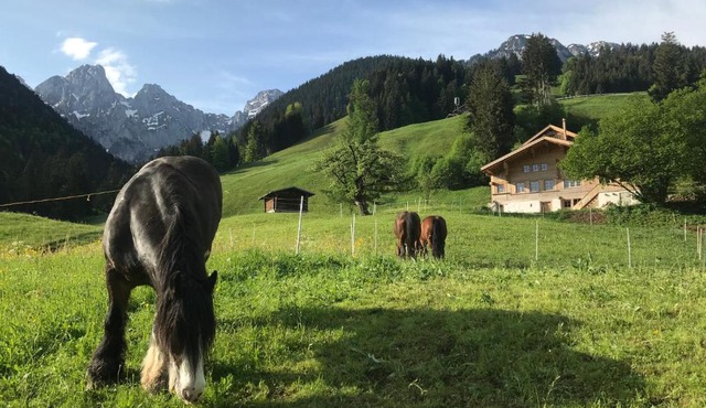 Au Pré des Chevaux
