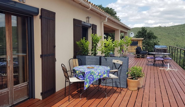 Au royaume des chats