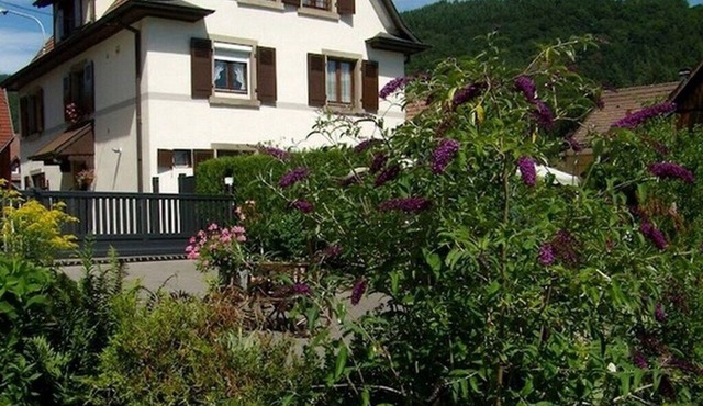 AU SCHNEIGET large detached house Capacity max 11 people/including babies.