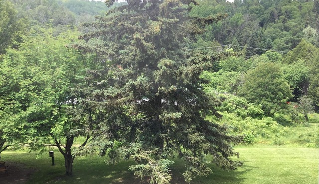 Auberge Beauséjour