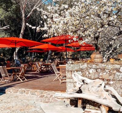 Auberge De La Foret Bonifatu