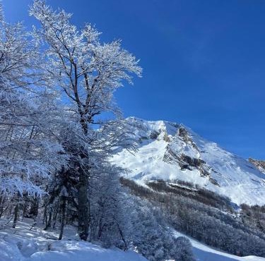 Auberge de la Vallée d'Ossau