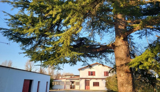 Auberge du Trinquet