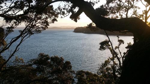 Auckland Clifftop