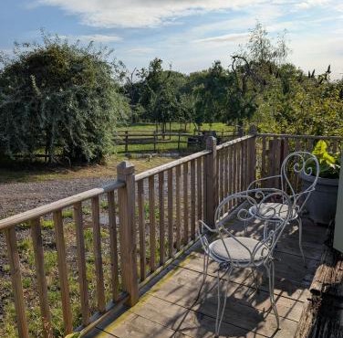 Audrey the Caravan of Dreams