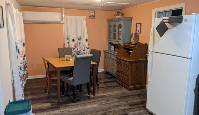 Aunt Rose's cozy 1 bedroom cottage on the River Raisin in Dundee MI
