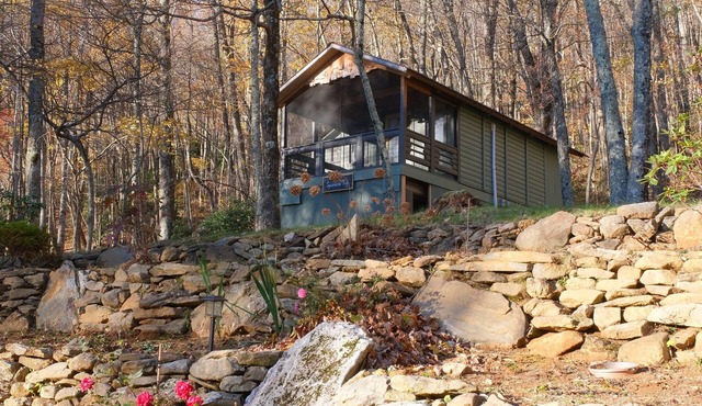 Auntie's Attik - Cabin w Mtn Views & Screened Porch
