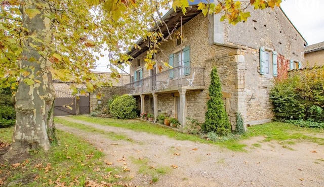 Auprès de mon arbre - PLOTTES