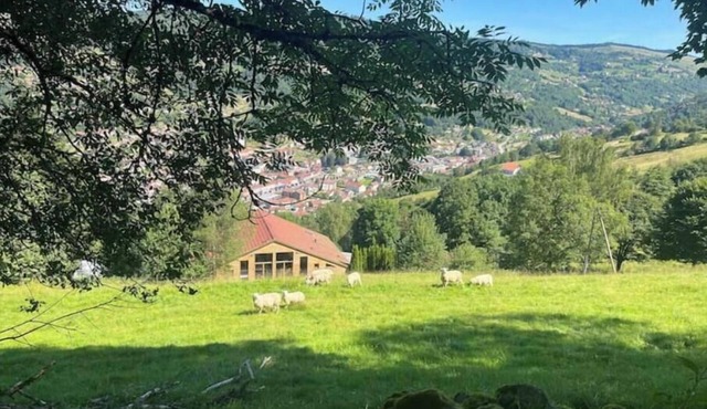 Aus Sources - 14 Personnes - Sauna & Jacuzzi