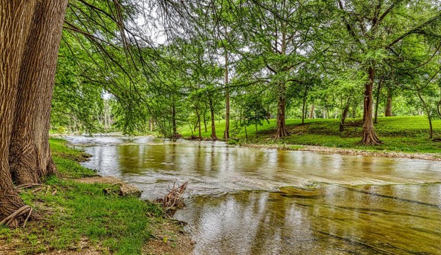 Austin Cottage on Cypress Creek