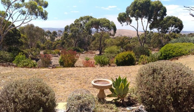 Austiny Bed and Breakfast Victor Harbor