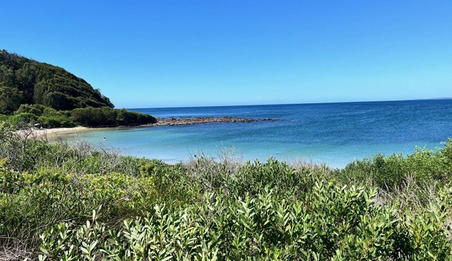Australian Beach and Sea Haven