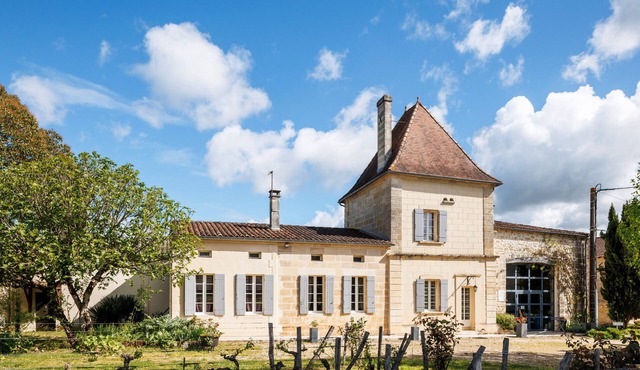 Authentic Stay at Château Vieux Mougnac: Organic Vineyard, Saint-Emilion, Wine & Relaxation