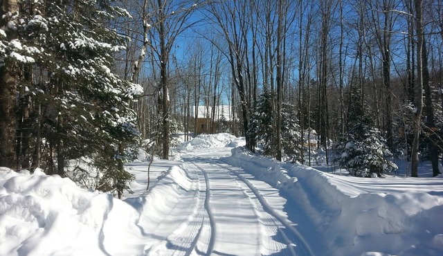 Authenic Amish built log cabin on 3,300 acre Gile Flowage. All Modern Amenities