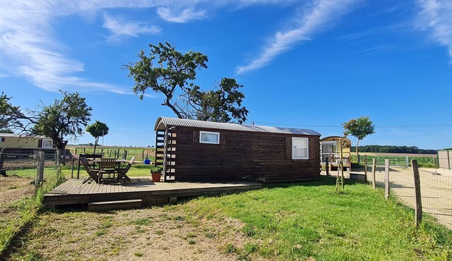 Authentic caravan in nature near Nancy