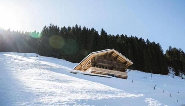 Authentic 18th Century Swiss Alpine Chalet