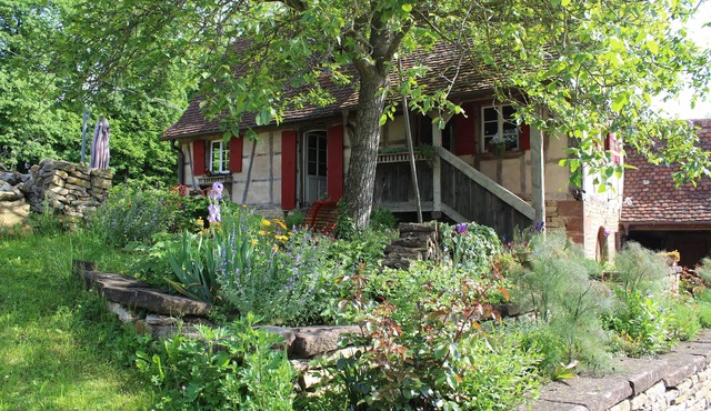 Authentic Alsatian house, classified *, ideal couples/families, quiet sauna