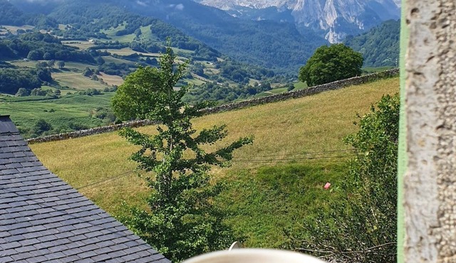 Authentic and charming renovated house between nature and comfort