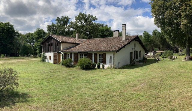 Authentic Bazadaise Farm, tastefully restored in the heart of the Landes forest.