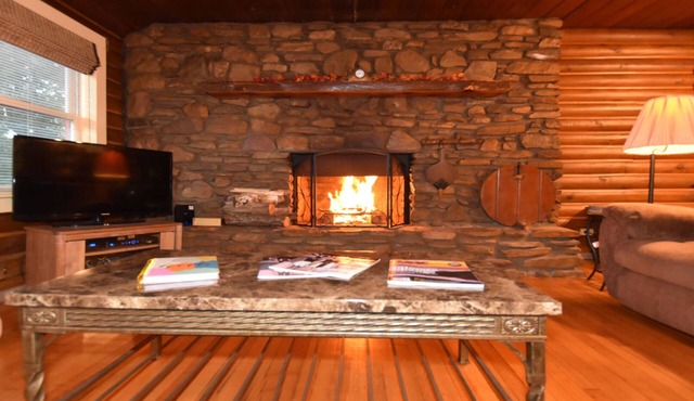 Authentic Cabin,Wood Burning Fireplace, HotTub, Pool,Pet Friendly, Asheville, NC