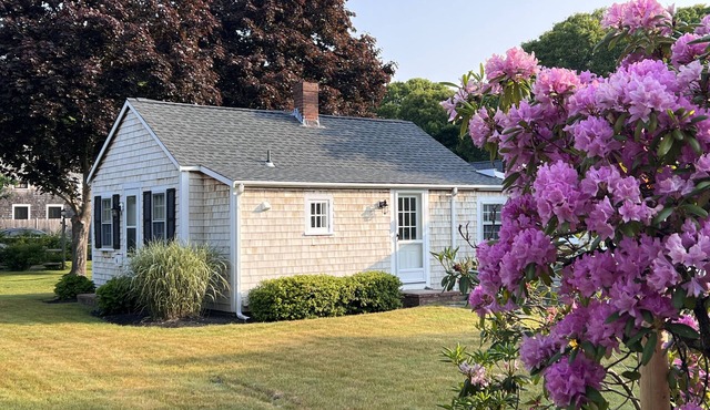 Authentic, Charming Cape Cod Cottage