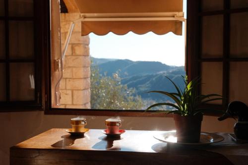 Authentic charming Provencal Villa in mountain 20 kms from Monaco and Nice
