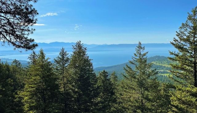 Authentic Hand-Crafted Mountain Cabin w/Amazing Lake View !