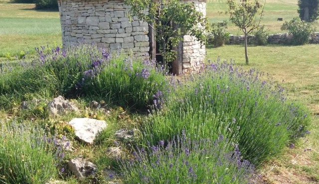 Authentic Istrian Rooms for Unforgettable Stays
