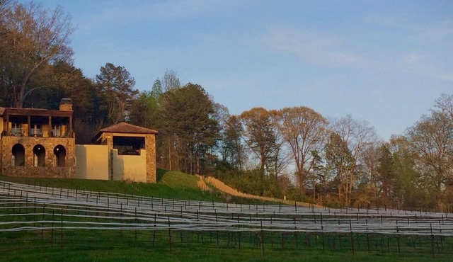 Authentic Italian Villa Overlooking Vineyard at Montaluce lic #5210 Lumpkin Cty