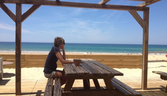 Authentic Landes houses in the heart of the forest