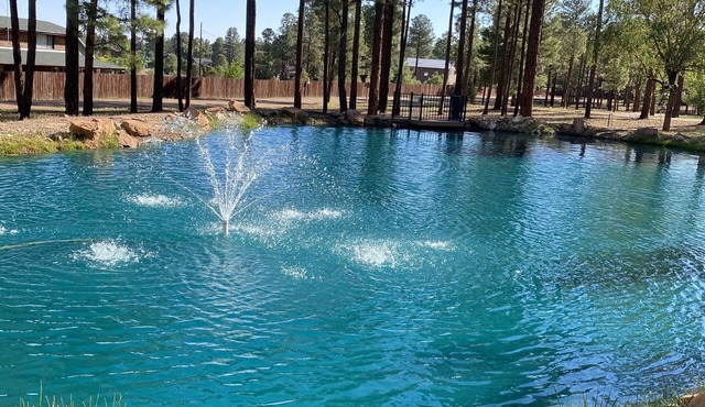 Authentic log cabin in private gated community