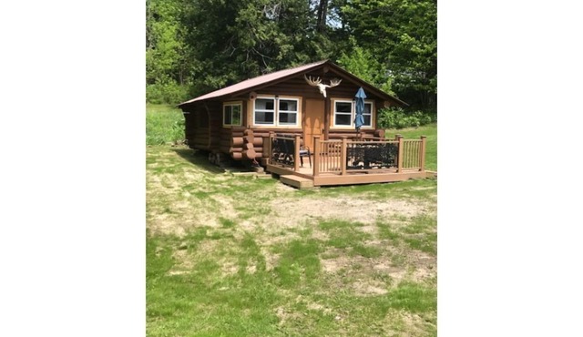 Authentic Log Cabin Island Lake Pet Friendly Northshore Bay Resort