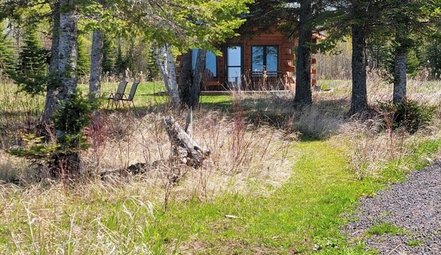Authentic log cabin perfect for 2❣️Fantastic Lake Superior Views & beach access!