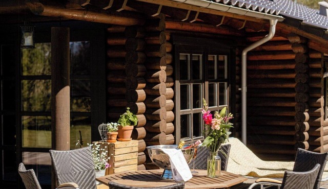 Authentic log house amid evergreens in Vendsyssel