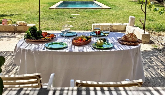 Authentic mazet with swimming pool set in 2 hectares of olive groves