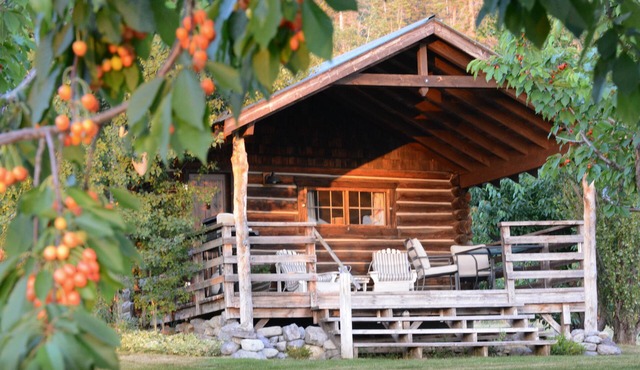 Authentic Montana Log Studio Cabin Overlooking Flathead Lake