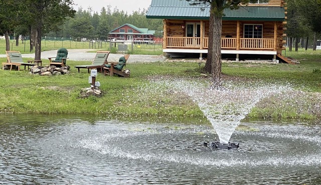 Authentic Montana wilderness log cabin (pet friendly)