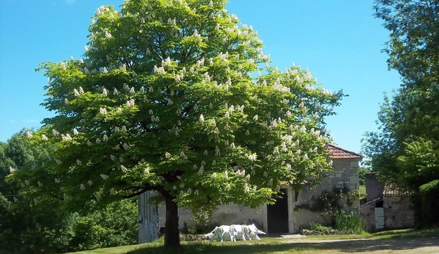 Authentic Quercynoise farm in the heart of the Cahors vineyard