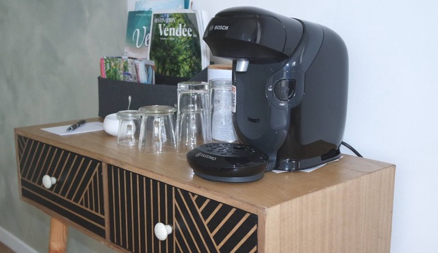 Authentic room with neat decor