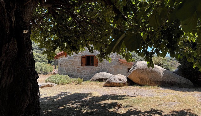 Authentic stone Caseddu in Porticcio with sea view