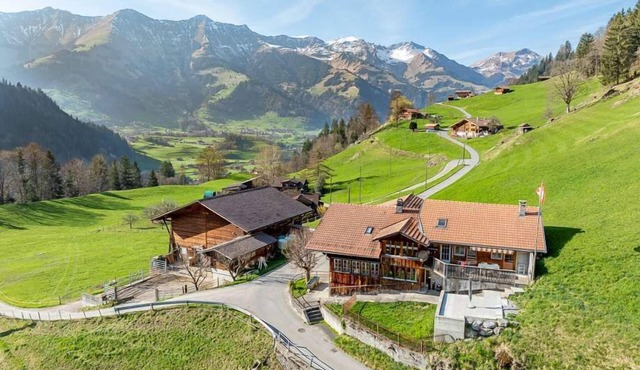 Authentic Swiss Farm Stay in the Alps | Fireplace