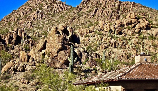 Authentic Tucson Experience: Mud Adobe Casita Nestled in Canyon Among Wildlife